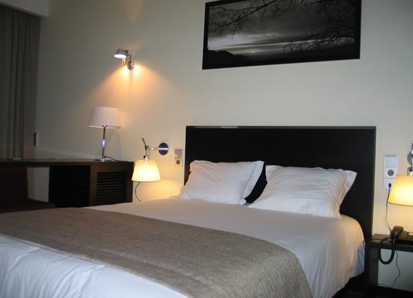 Hotel Sao Pedro Arouca Oda fotoğraf